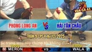 Trận 9 CPC4 16/12/2025 - Úa Cọp Anh Hải Đâm Điều Mặt Lọ Hư Cặp Giò