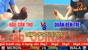 Trận 9 CPC5 25/12/2025 - Điều Chân Xanh Anh Tám Tài Xỉu Đâm Như Chỉa