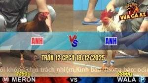 Trận 12 CPC4 18/12/2025