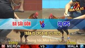 Trận 15 CPC4 18/12/2025