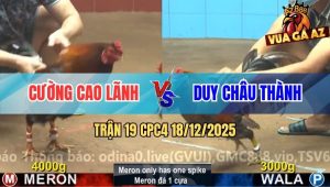 Trận 19 CPC4 18/12/2025