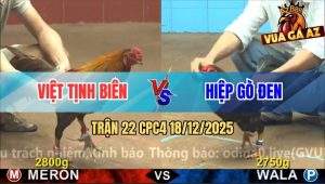 Trận 22 CPC4 18/12/2025