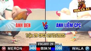 Trận 29 CPC3 21/12/2025