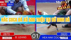 Trận 1 Bồ Dinh Bà 21/12/2025