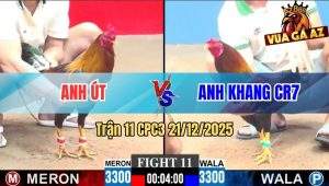 Trận 11 CPC3 21/12/2025