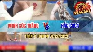 Trận 11 Tonhon 31/12/2025