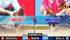 Trận 14 CPC3 21/12/2025