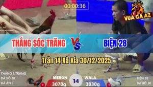 Trận 14 Xà Xía 30/12/2025