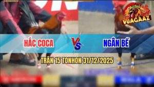 Trận 15 Tonhon 31/12/2025