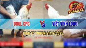 Trận 17 Tonhon 31/12/2025