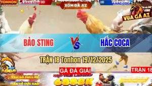 Trận 18 Tonhon 19/12/2025