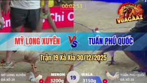 Trận 19 Xà Xía 30/12/2025