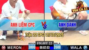 Trận 22 CPC3 21/12/2025
