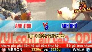 Trận 3 CPC5 29/11/2025