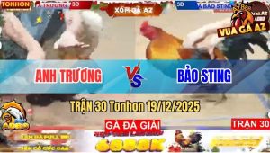 Trận 30 Tonhon 19/12/2025