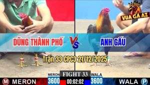 Trận 33 CPC3 21/12/2025