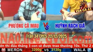 Trận 34 CPC5 22/12/2025