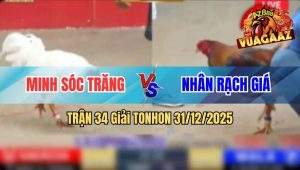 Trận 34 Tonhon 31/12/2025