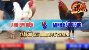 Trận 36 Tonhon 31/12/2025