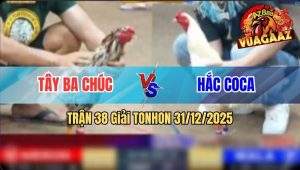 Trận 38 Tonhon 31/12/2025