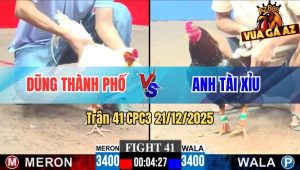 Trận 41 CPC3 21/12/2025