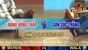 Trận 43 CPC4 17/12/2025