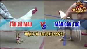 Trận 7 Xà Xía 19/12/2025