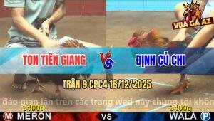 Trận 9 CPC4 18/12/2025