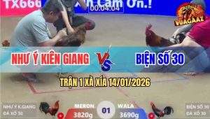 Trận 1 Xà Xía 14/1/2026 - Điều Chân Trắng Đá Ngay Mu Lưng Que Té Xe