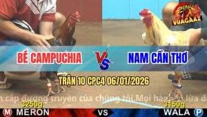 Trận 10 CPC4 6/1/2026 - Bướm Anh Nam Đá Điều Cánh CPC Nhuộm Đỏ Sân