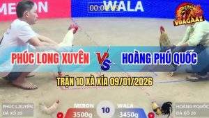 Trận 10 Xà Xía 9/1/2026 - Chuối Ói Gục Đầu Úa Bồi Mu Lưng Tiễn Đi Luôn