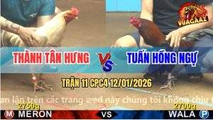 Trận 11 CPC4 12/1/2025 - Điều Chân Trăng Đâm Úa Không Trượt Phát Nào