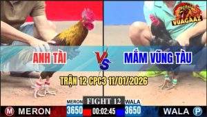 Trận 12 CPC3 11/1/2026 - Vừa Vô Que Đá Ngay Đầu Cần Khét Chạy Bay Bồ