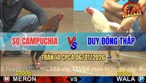 Trận 14 CPC4 6/1/2026 - Úa Chân Xanh Phát Súng Ân Huệ Tiễn Điều Đi Bụi