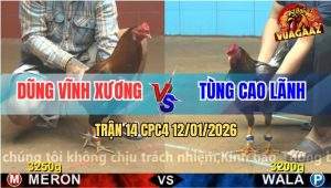Trận 14 CPC4 12/1/2025 - Xám Dí Ăn 4 Cho Cố Vô Trong Dính Cây Hư Hình