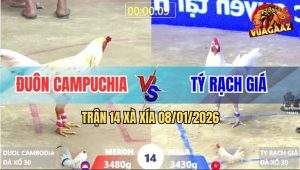 Trận 14 Xà Xía 8/1/2026 - Gà Úa Anh Tý Hạ Bổn Hiệu Anh Đuôn Campuchia