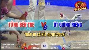 Trận 16 Xà Xía 10/1/2026 - Xám Điều Anh Kiểm Đá Bướm Ói Ngập Sân