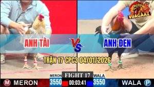 Trận 17 CPC3 4/1/2026 - Cú May Độ Đá Cây Lưng Hạ Mẻ Hiệu Tính Ga King