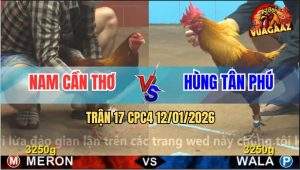Trận 17 CPC4 12/1/2025 - Khét Tiễn Gà Vàng Đi Bán Muối Sau 3 Chân Nạp