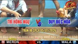 Trận 18 CPC4 5/1/2026 - Xám Quá Trâu Điều Đâm Không Thấm Bung Chạy