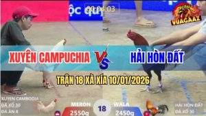 Trận 18 Xà Xía 10/1/2026 - Úa Bến Thế Đâm Que Cây Lưng Sum Nụ