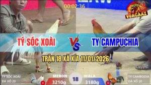 Trận 18 Xà Xía 11/1/2026 - Điêu Đá Cặp Ngực Bướm Lọt Tim Chết Tươi