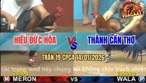 Trận 19 CPC4 14/1/2026 - Điều Anh Thành Có Chân Tiễn Gà Que Lên Đường