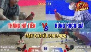 Trận 19 Xà Xía 13/1/2026 - Mẻ Hiệu Anh Kiểm Buông Ra Là Xé Xác Đối Thủ