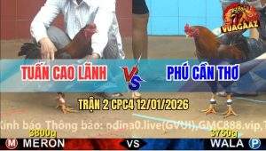 Trận 2 CPC4 12/1/2025 - Anh Tuấn Và Anh Phú Bất Phân Thắng Bại