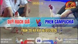 Trận 20 Xà Xía 16/1/2026 - Úa Đi Bộ Cũng Đâm Bướm Chạy Mất Dép