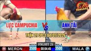 Trận 21 CPC3 4/1/2026 - Khét Chân Xanh Anh Tài Đâm Như Phát Xít