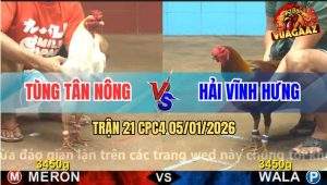 Trận 21 CPC4 5/1/2026 - Bướm Hiệu Anh Nu Đâm Gà Que Ói Xanh Mặt