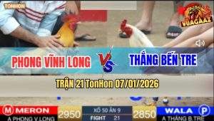Trận 21 TonHon 7/1/2026 - Khét Anh Phong Bú Bướm Anh Thắng Nằm Tê Liệt
