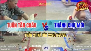 Trận 21 Xà Xía 22/1/2026 - Bướm Anh Thành Có Chân Xạo Lờ Phản Ăn 2